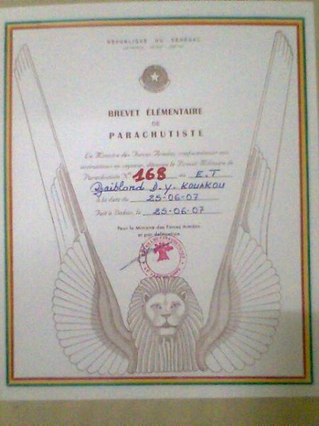 le brevet d'oiseau de l'arm�e